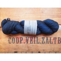 BFL DK - Whale Watching